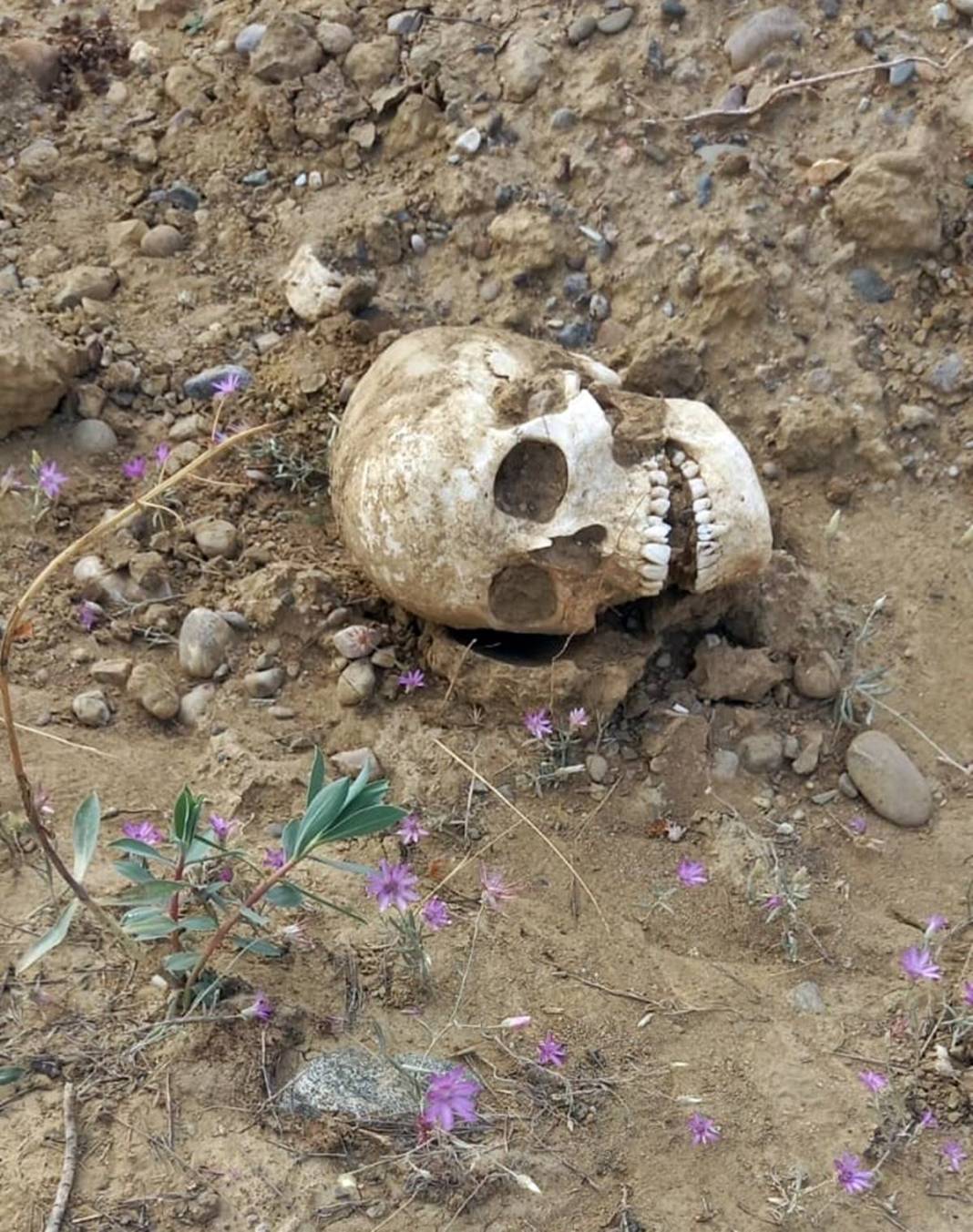 Toprak kayması sonrası korkutan manzara: Görür görmez polisi aradı! Önce morga, sonra Adli Tıp Kurumu'na gönderildi 5